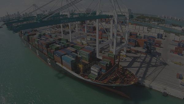 On-Demand 3PL Container Drayage | South Florida | Go Drayage | #godrayage - 3gofreight - #doxidonut -